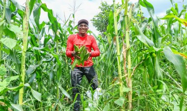 Agricultores de Jatobá do Piauí receberam o valor R$ 1.200 do Garantia-Safra a partir deste mês de abril
