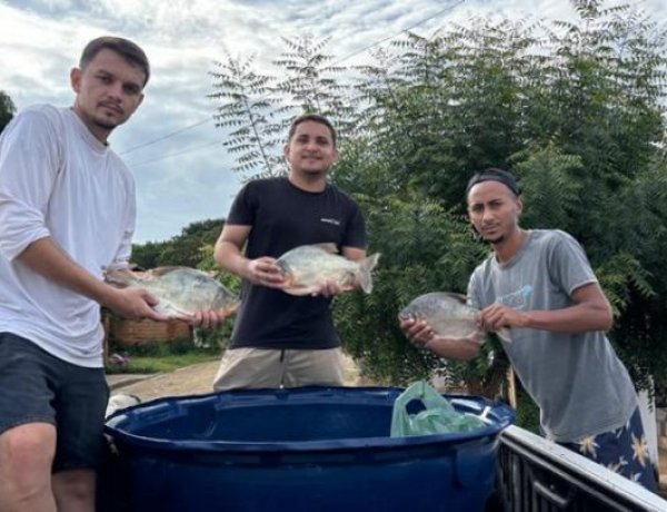 Prefeitura de Jatobá do Piauí distribui 5 mil quilos de peixe para população na Semana Santa