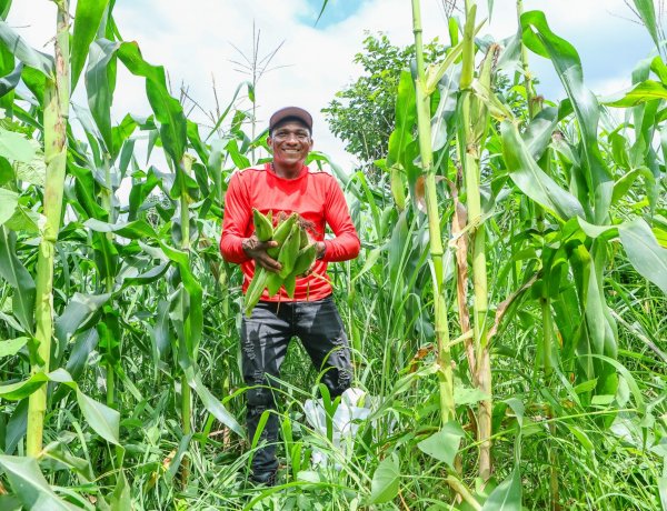 Agricultores de Jatobá do Piauí receberam o valor R$ 1.200 do Garantia-Safra a partir deste mês de abril