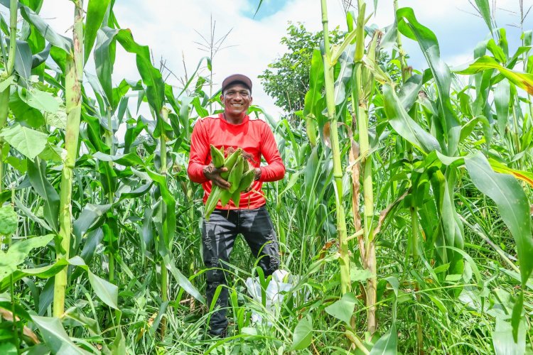 Agricultores de Jatobá do Piauí receberam o valor R$ 1.200 do Garantia-Safra a partir deste mês de abril